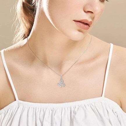 Capricorn Moissanite Zodiac Necklace For Women, 12 Constellation Zodiac Sign Sterling Silver Pendant Necklace Jewelry Gifts - Image 2